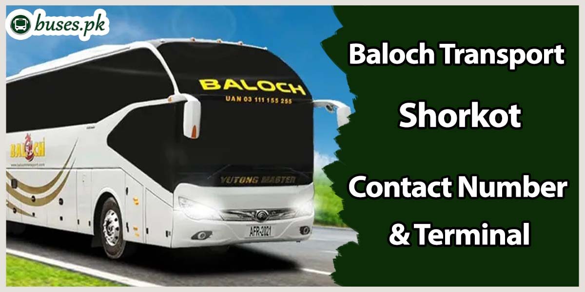 Baloch Transport Shorkot Terminal & Contact Number