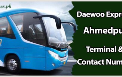 Daewoo Express Ahmedpur Terminal & Contact Number