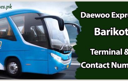 Daewoo Express Barikot Terminal & Contact Number