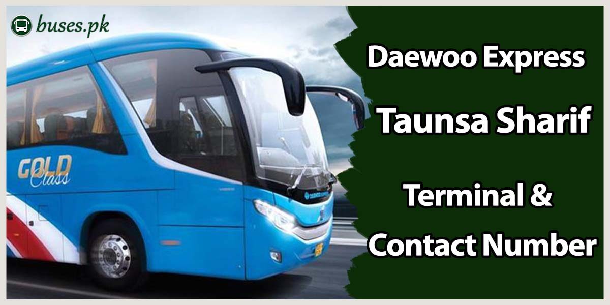 Daewoo Express Taunsa Sharif Terminal & Contact Number