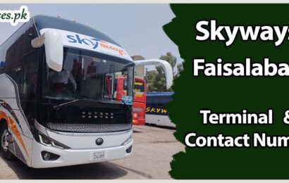 Skyways Faisalabad Terminal & Contact Number