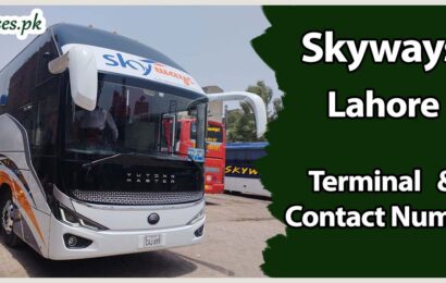 Skyways Lahore Terminal & Contact Number