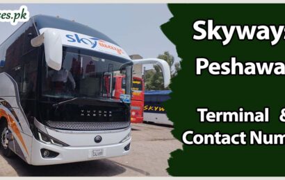 Skyways Peshawar Terminal & Contact Number