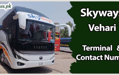 Skyways Vehari Terminal & Contact Number